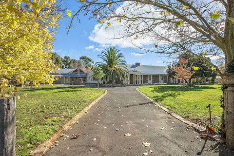 Orchards At Spring Vale Farm - Accommodation Gold Coast 2