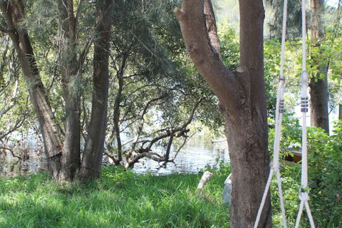 Waters Edge - Accommodation Gold Coast 5