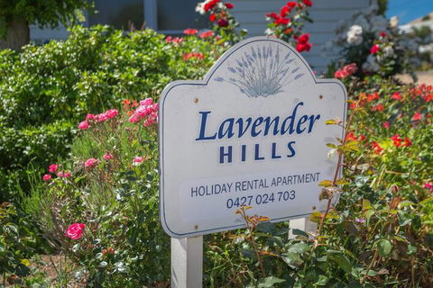 Lavender Hills 12 Bennett Street - Accommodation Gold Coast 7