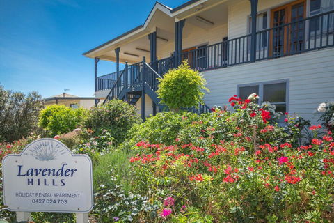Lavender Hills 12 Bennett Street - Accommodation Gold Coast 3