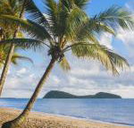 Eden Oceans Edge Palm Cove - Accommodation Gold Coast