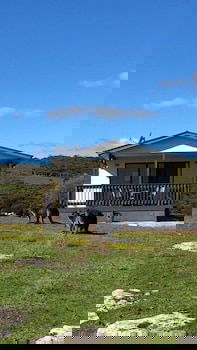 Waves And Wildlife - Accommodation Gold Coast 1