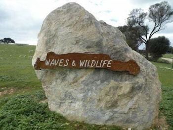 Waves And Wildlife - Accommodation Gold Coast 3