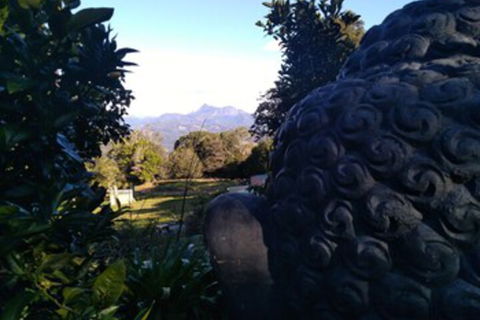 Ruah Rain Forest Retreat - Gold Coast 4U 0