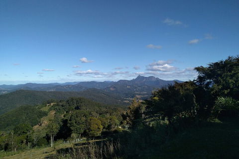 Ruah Rain Forest Retreat - Gold Coast 4U 6