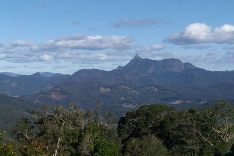 Ruah Rain Forest Retreat - Gold Coast 4U 2