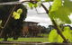 Bettenay Loft Spa Apartment & Lakeview Chalets - thumb 0