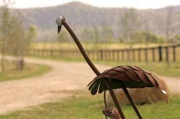 Pemberley Grange - 1 Gold Coast 0