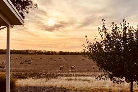 Marys Farm Cottages - Gold Coast 4U 3