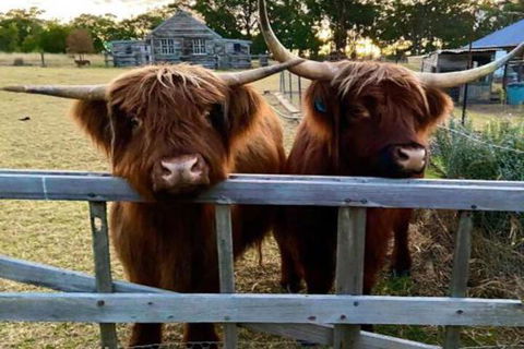 Straw House Farm B & B - Gold Coast 4U 4
