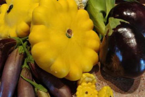 Straw House Farm B & B - Gold Coast 4U 6