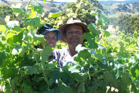 Wimmera Hills Winery - Accommodation Gold Coast 2