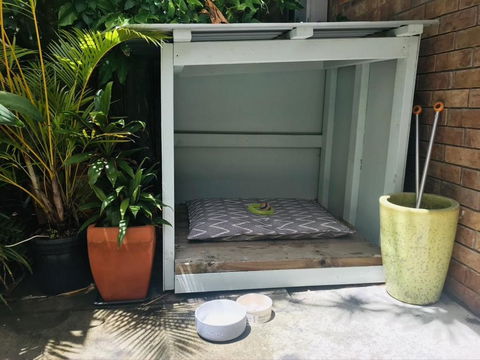 Jimmys Shout Pet Friendly - Accommodation Gold Coast 3