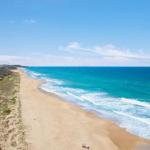 Jimmys Shout Pet Friendly - Accommodation Gold Coast 0