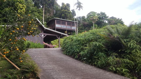 Daintree Holiday Homes La Vista - Accommodation Gold Coast 4