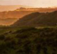 Mures Cloudy Bay Retreat - Accommodation Gold Coast