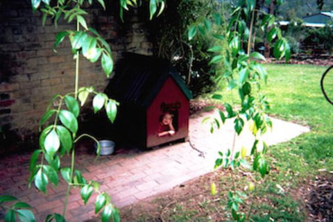 Kurrajong Trails And Cottages - Accommodation Gold Coast 1