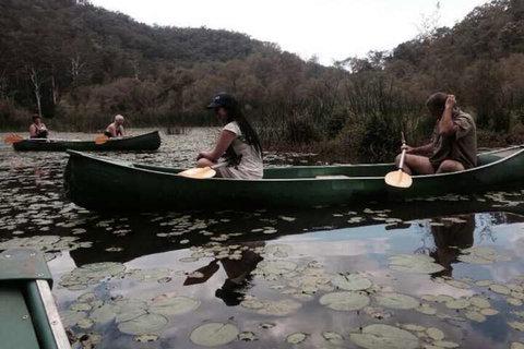 Kurrajong Trails And Cottages - Accommodation Gold Coast 3