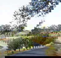 voco Kirkton Park Hunter Valley  an IHG Hotel - Accommodation Gold Coast