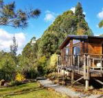 Southern Forest Accommodation - Accommodation Gold Coast