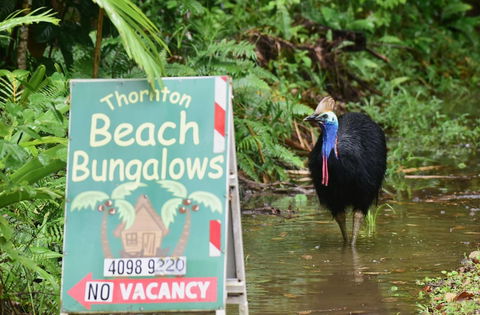 Thornton Beach Bungalows - Gold Coast 4U 5