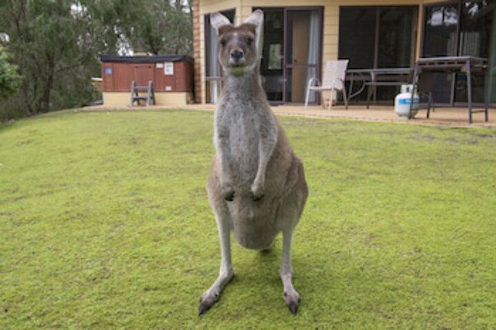 Metricup WA Gold Coast 4U
