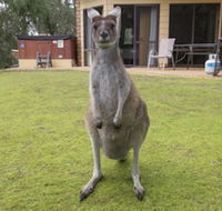 Yelverton Brook Conservation Sanctuary - Gold Coast 4U