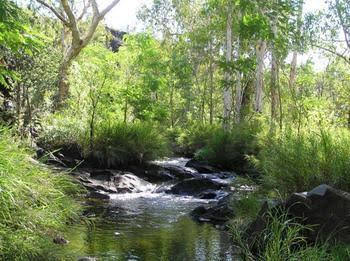 Mt Hart Homestead - Accommodation Gold Coast 4