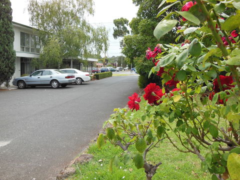 Ringwood Motel - Accommodation Gold Coast 1