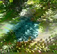 Palm Cove Tropic Apartments - 1 Gold Coast