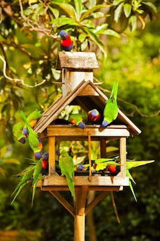 Crystal Brook Tourist Park - Accommodation Gold Coast 0