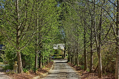 Bundanoon Lodge - Gold Coast 4U 1