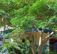 Amber Gardens Guesthouse - Accommodation Gold Coast