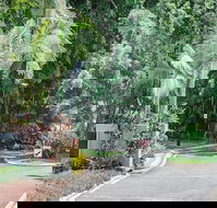 Oasis at Palm Cove - 1 Gold Coast