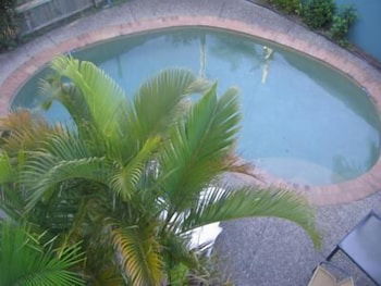 Noosa River Sandy Shores - Accommodation Gold Coast 4