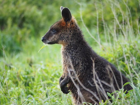Douglas Riverside - Accommodation Gold Coast 1