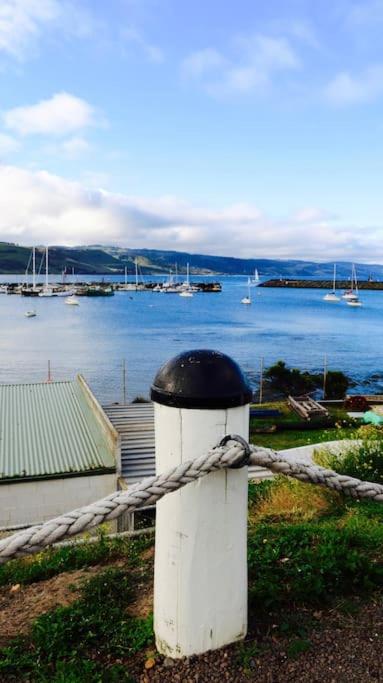 Kutu Ev - Accommodation Gold Coast 1