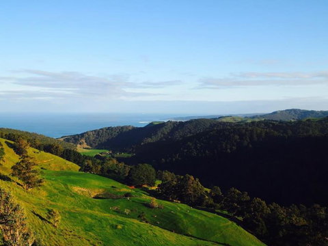 Kutu Ev - Accommodation Gold Coast 4