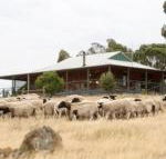 Gilgraves Vineyard Farmstay - Accommodation Gold Coast