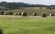Windrush BnB Comboyne Australia - thumb 3
