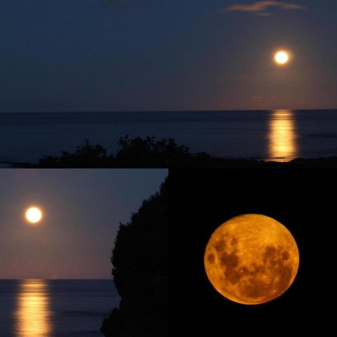 Goat Island Bungalow - Accommodation Gold Coast 1