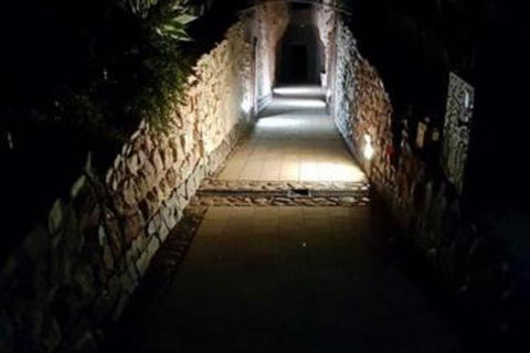 Zen Underground B & B - Accommodation Gold Coast 2