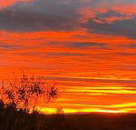 Studio with stunning mountain views - Gold Coast 4U