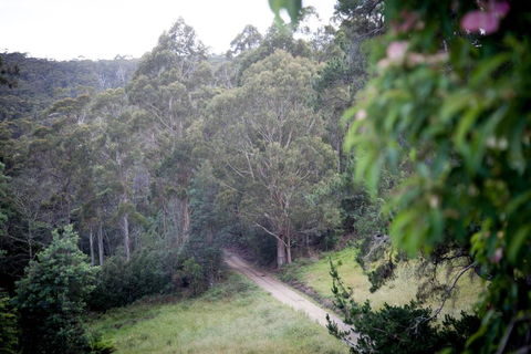 The Pear Cottage - Accommodation Gold Coast 4