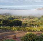 Pecan Hill BNB - Gold Coast 4U