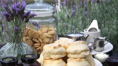 Jettycove Beach House - 1 Gold Coast 6