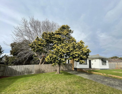 Jettycove Beach House - 1 Gold Coast 1