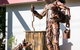 Jolly Swagman Acccommodation Park - thumb 4
