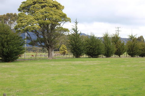 Tiny Cradle At The Good Place - 1 Gold Coast 5