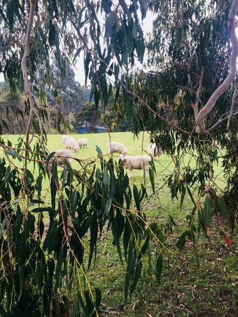 The Retreat - Accommodation Gold Coast 2